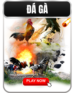 da-ga-79king
